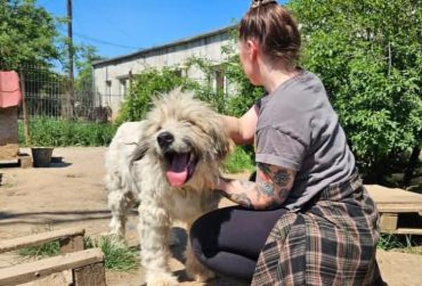 Bärchen: sein Name ist Programm