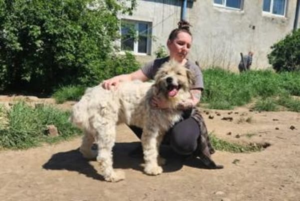 Bärchen: sein Name ist Programm