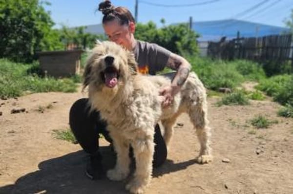 Bärchen: sein Name ist Programm