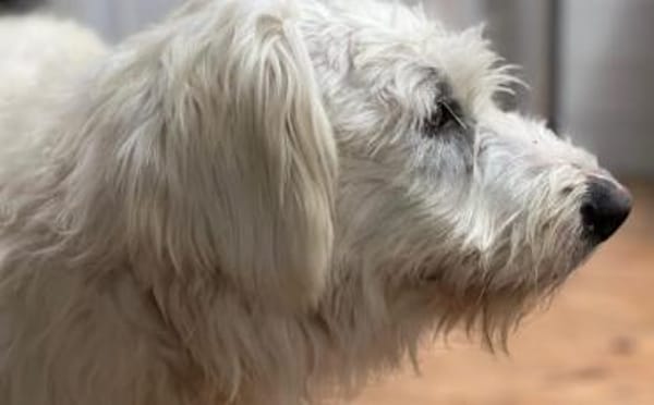 Gewinnst du Bertils Vertrauen?