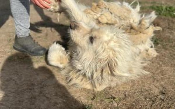 Gewinnst du Bertils Vertrauen?