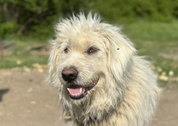 Gewinnst du Bertils Vertrauen?