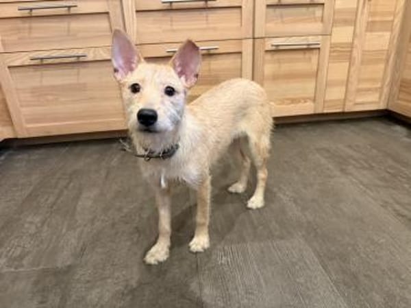 Sie ist Dein Schatten :)