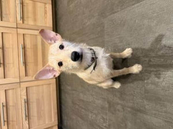 Sie ist Dein Schatten :)