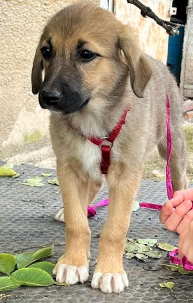 Friederike ein kleiner süßer Schatz ...