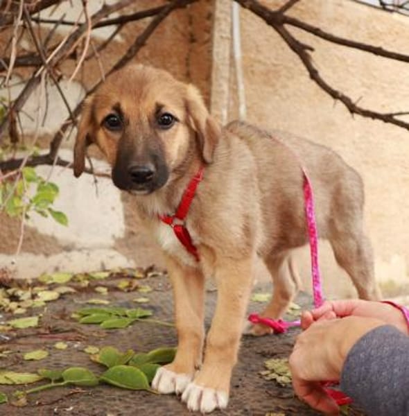 Friederike ein kleiner süßer Schatz ...
