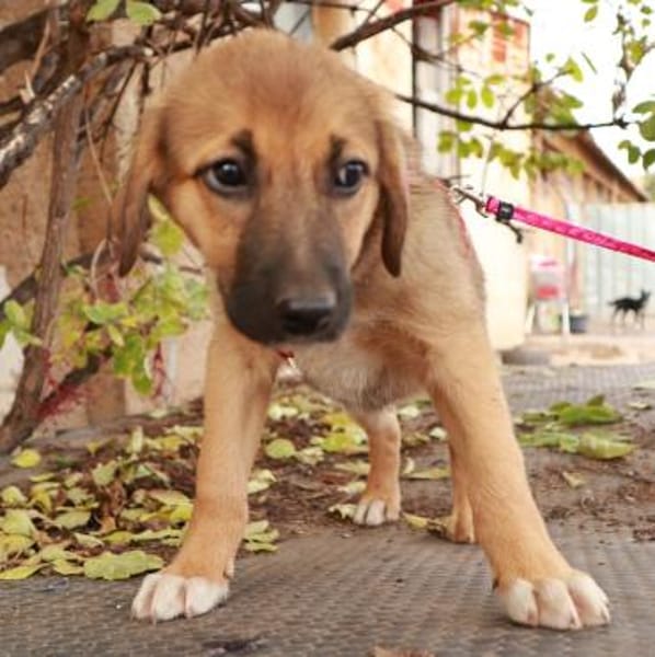 Friederike ein kleiner süßer Schatz ...
