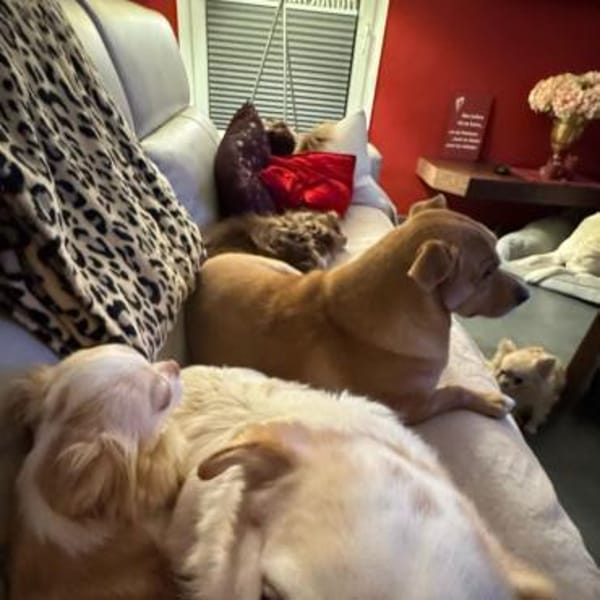 DANNY - ein Juwel zum Verlieben!