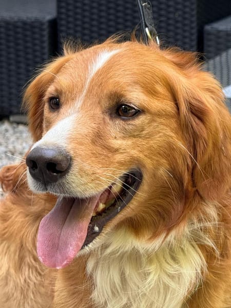 Moritz sucht seine Menschen...