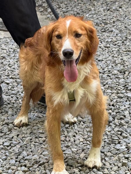 Moritz sucht seine Menschen...