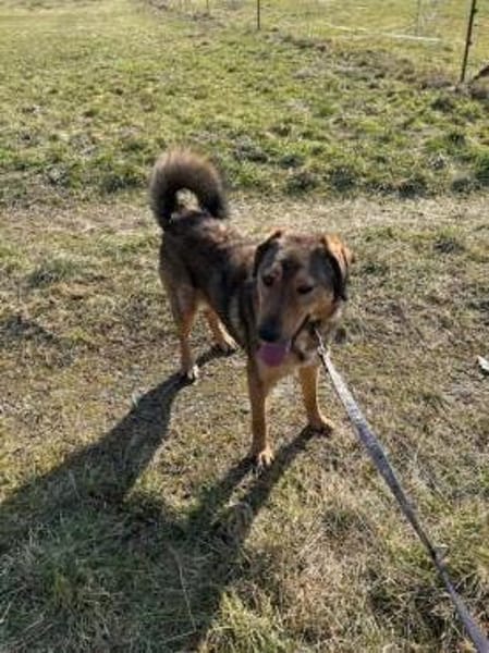 Juni - intelligent u. aufgeweckt