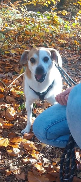 EVELYN - 2018 auf PS in 02633 Dretschen