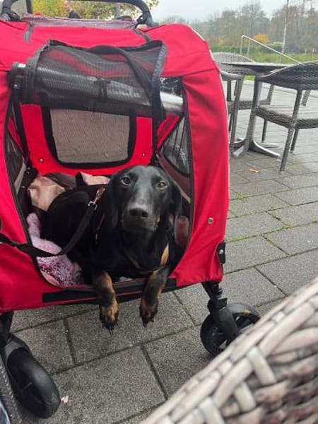 💙Cormac💙 such sein Zuhause