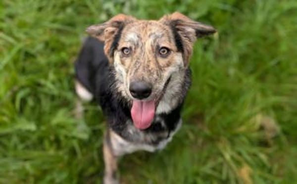 Zauberhafte Annegret sucht Zuhause