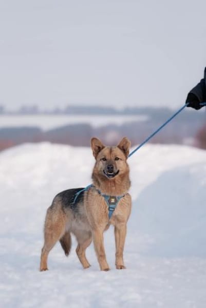 Cleo, aktiv und selbstbewusst