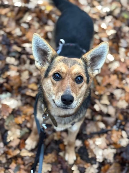 Ria wartet auf PS in Gummersbach!