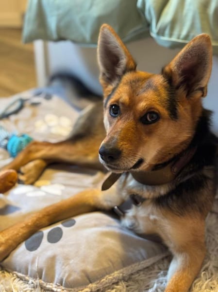 Ria wartet auf PS in Gummersbach!