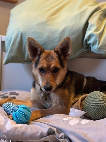 Ria wartet auf PS in Gummersbach!