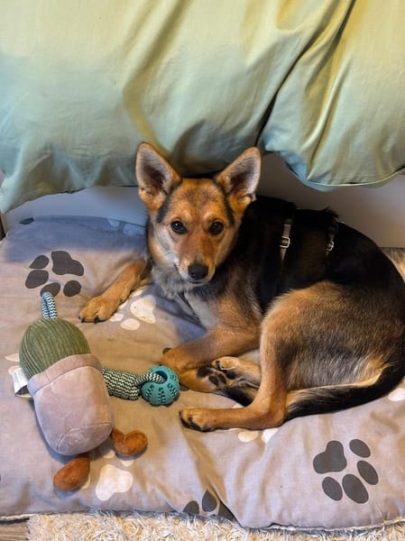 Ria wartet auf PS in Gummersbach!