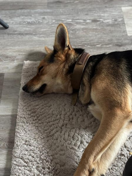 Ria wartet auf PS in Gummersbach!