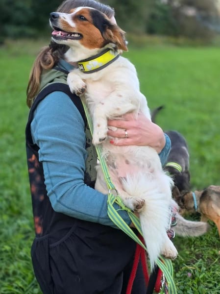 Ruby wartet auf PS in Hamburg!