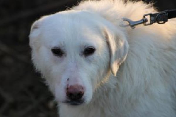 Maly - perfekt für Familie mit Kindern