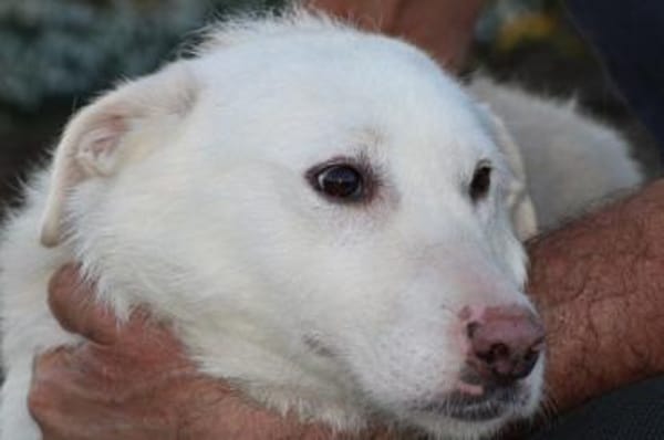 Maly - perfekt für Familie mit Kindern