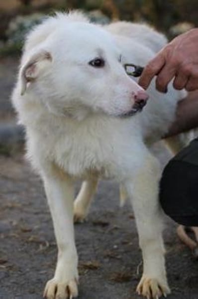 Maly - perfekt für Familie mit Kindern