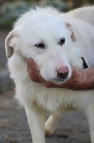 Maly - perfekt für Familie mit Kindern