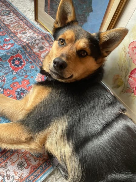 Ronny wartet auf PS in Hamburg!