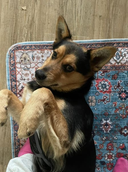 Ronny wartet auf PS in Hamburg!