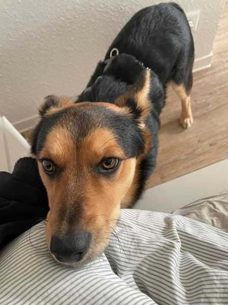 Ronny wartet auf PS in Hamburg!