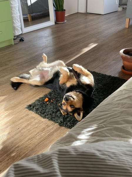 Ronny wartet auf PS in Hamburg!