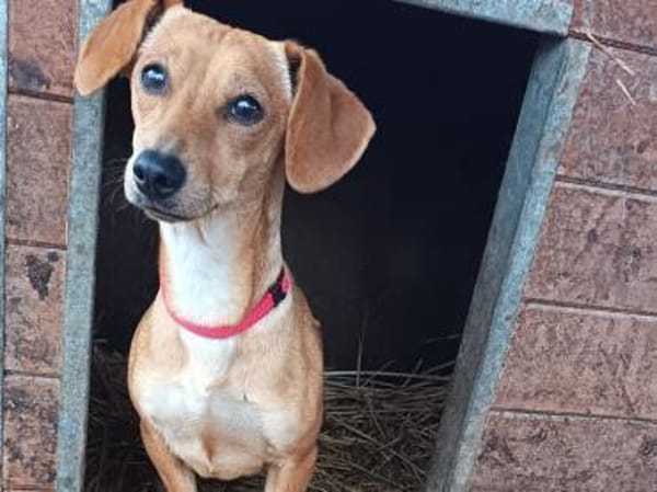 Vanda wurde mit Oli augesetzt