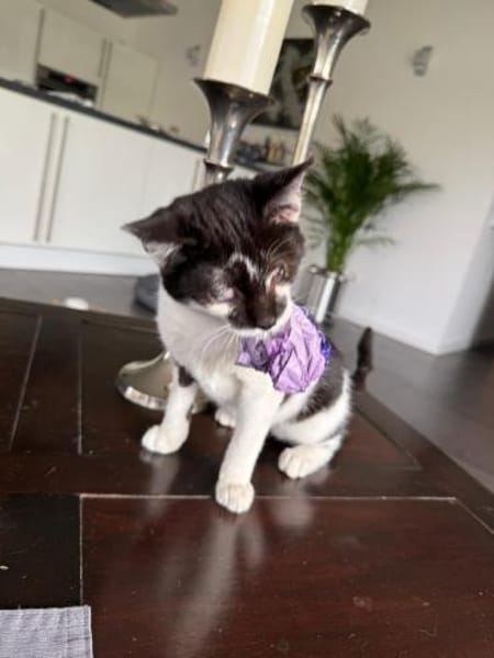 Willi sucht seine Menschen