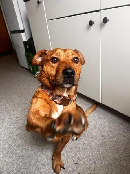 Jean wartet auf PS in Hamburg!