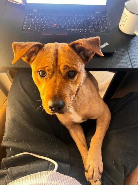 Jean wartet auf PS in Hamburg!