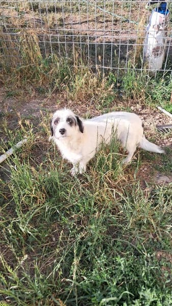 Gisela, Zaubermaus sucht Körbchen