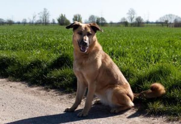 Alma - menschenbezogen und fröhlich