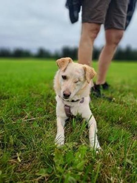 Merlin, einfach zauberhaft!