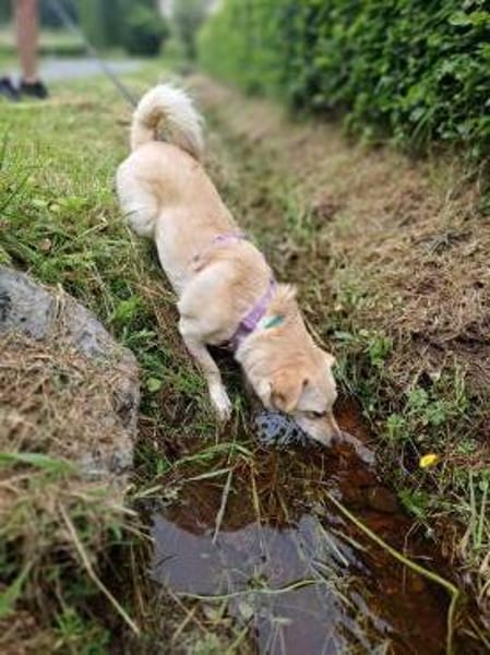 Merlin, einfach zauberhaft!