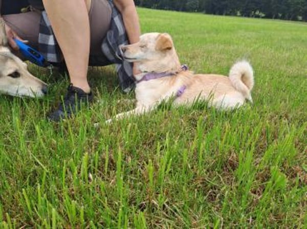 Merlin, einfach zauberhaft!