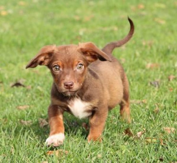 Tinka unsere kleine Prinzessin...