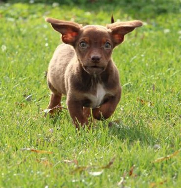 Tinka unsere kleine Prinzessin...