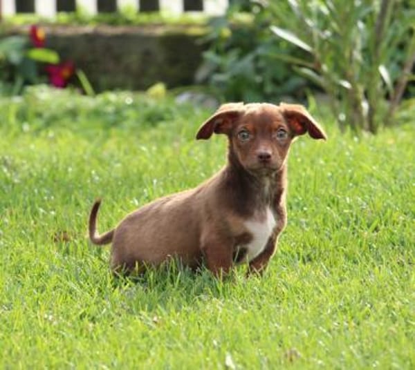 Tinka unsere kleine Prinzessin...