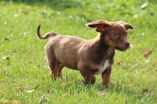 Tinka unsere kleine Prinzessin...