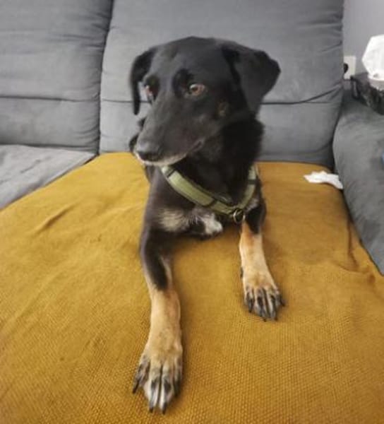 Enya ist eine sanfte Schönheit!