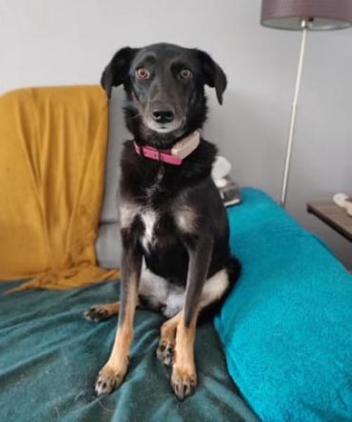 Enya ist eine sanfte Schönheit!