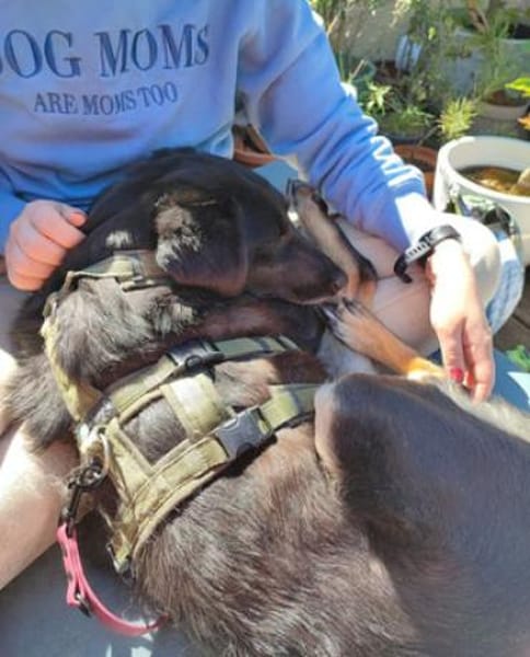 Enya ist eine sanfte Schönheit!