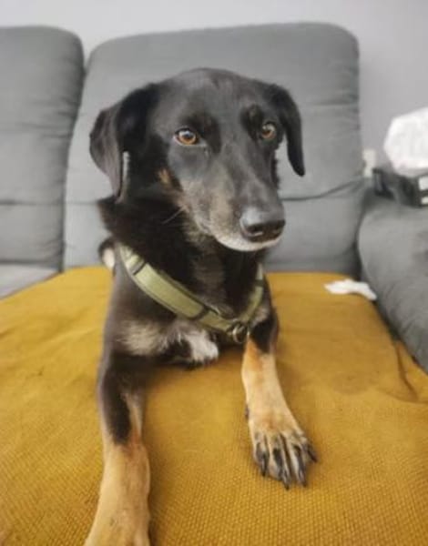 Enya ist eine sanfte Schönheit!